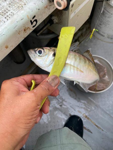 アジサビキいいね！