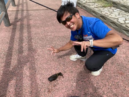 ヤエンチャレンジ！