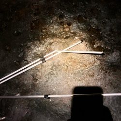 南紀ちょい釣り