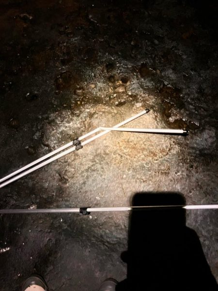 南紀ちょい釣り