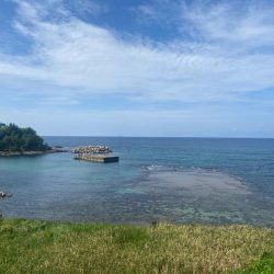 2025 初エギング