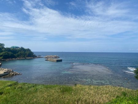 2025 初エギング