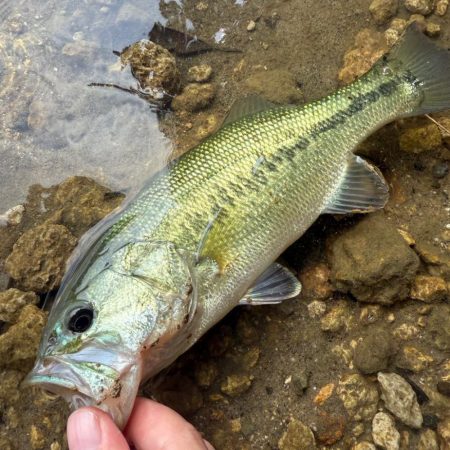 秋めいてますね