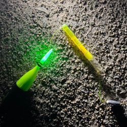 3年ぶりの太刀魚