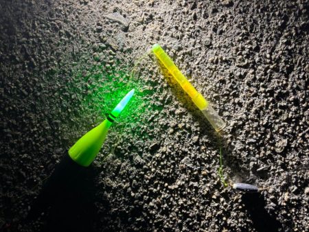 3年ぶりの太刀魚