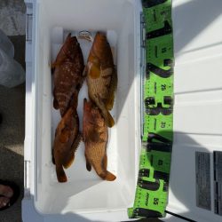 夏を感じつつ秋シーズン開幕！！！