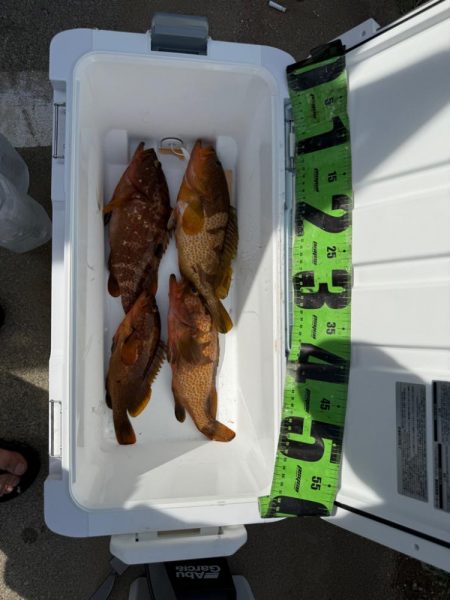 夏を感じつつ秋シーズン開幕！！！