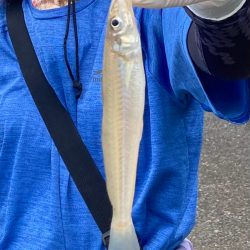 キスも良いがガッチョがでかい