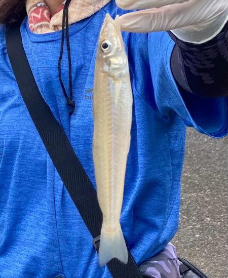 キスも良いがガッチョがでかい