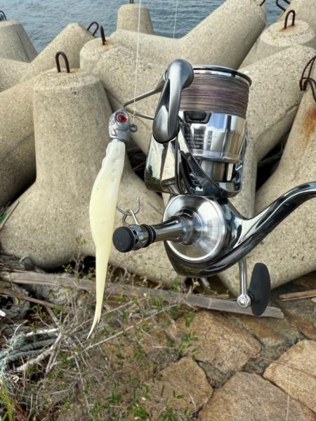 フラットフィッシュ