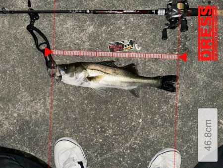 初ジョイクロ70フィッシュ！