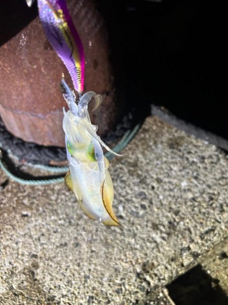 フルムーンに誘われて