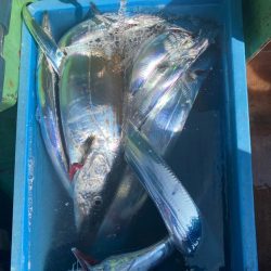 タチウオメーターオーバー