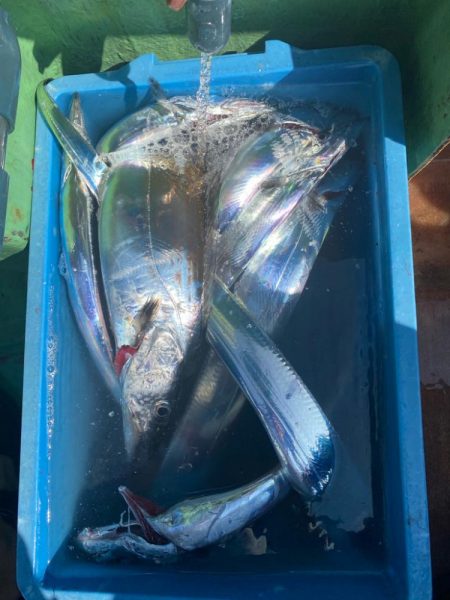 タチウオメーターオーバー