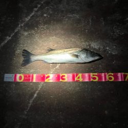 何が起きた!千葉港⭐︎⭐︎⭐︎