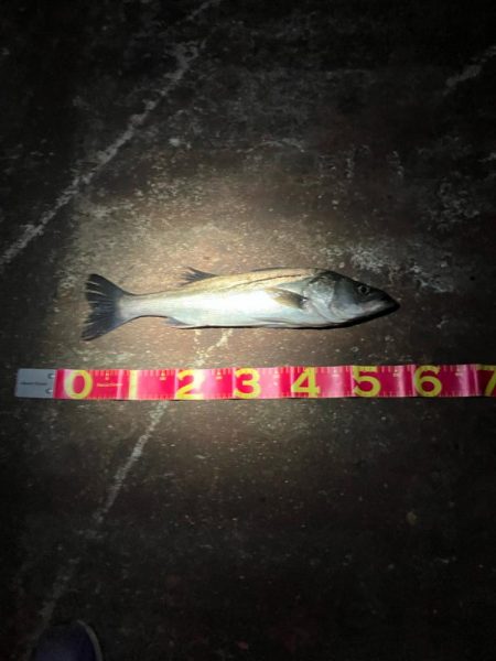 何が起きた!千葉港⭐︎⭐︎⭐︎