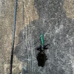 エギング　厳しい………