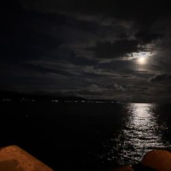 限定的なつりやね