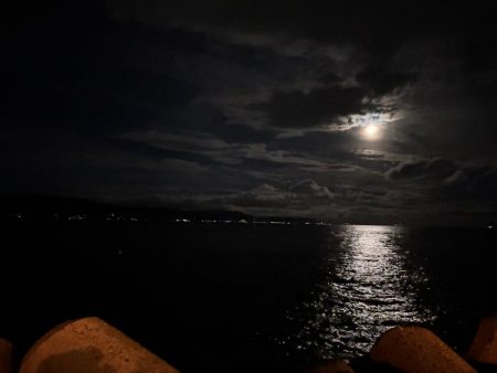 限定的なつりやね