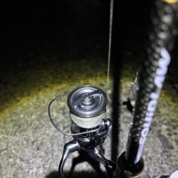 ナイトエギング