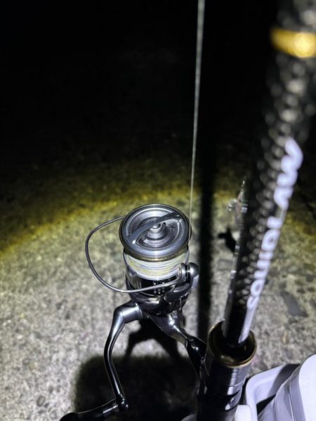 ナイトエギング