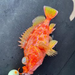 オフショアライトゲーム