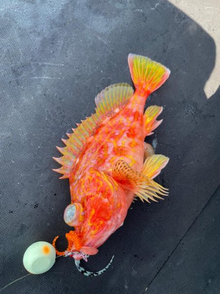 オフショアライトゲーム