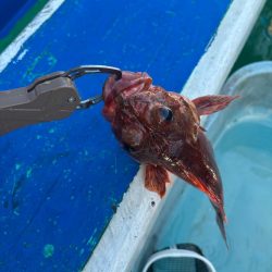 明石からひとつテンヤ　