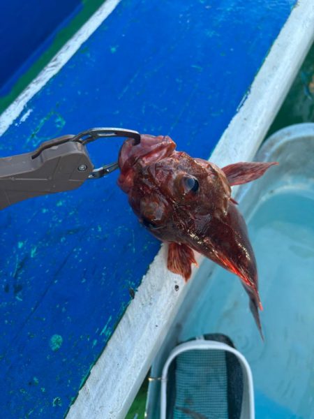 明石からひとつテンヤ　