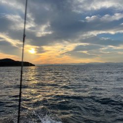 アオリイカを釣りに