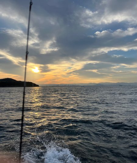 アオリイカを釣りに