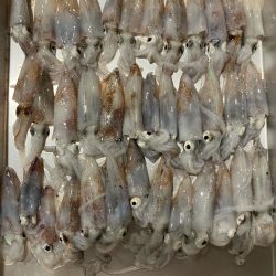 旅行ついでに調査してきました