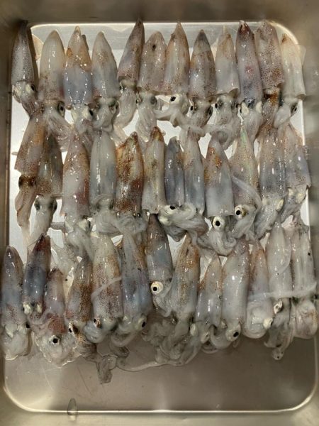 旅行ついでに調査してきました