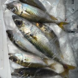 隣にはまさかのYouTuberさん達！？