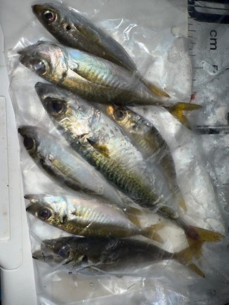 隣にはまさかのYouTuberさん達！？