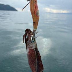 今秋シーズン記録更新