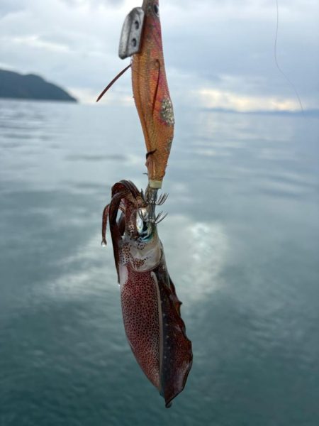 今秋シーズン記録更新