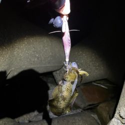 秋🦑楽しい ②