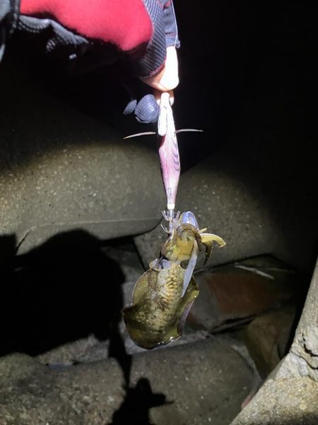 秋🦑楽しい ②