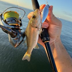 朝1ヒットは気持ちいい!