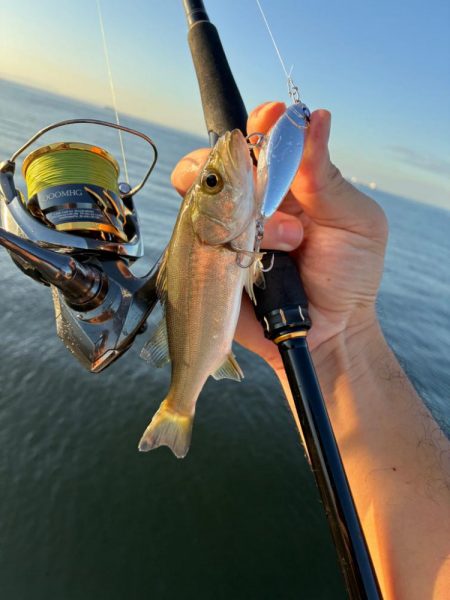 朝1ヒットは気持ちいい!