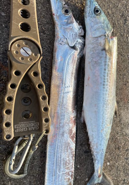 せっかくの、、