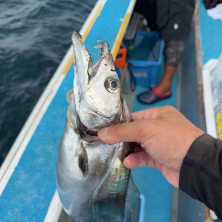 メーターオーバー続出！