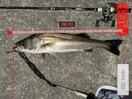 一群ルアー総動員で挑んだけど…