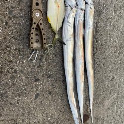 かけれず、、、