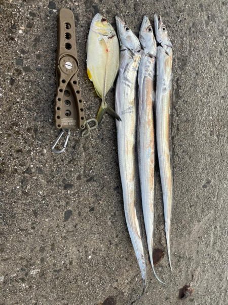 かけれず、、、