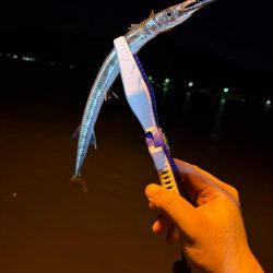 久々マヅメ狙いライトゲーム、ライトエギング　