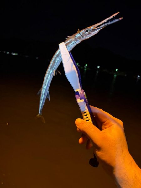 久々マヅメ狙いライトゲーム、ライトエギング　