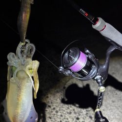 釣り人が多過ぎるエギング