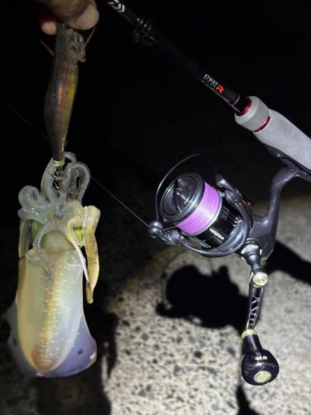 釣り人が多過ぎるエギング